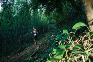 BIB: 
                            <button type="button" onclick="openModal(28123928)" class="btn btn-primary btn-sm float-right btn-popup" data-toggle="modal" data-target=".modal-high-quality">
                        <i class="fas fa-shopping-cart"></i> Add to Cart
                    </button>
                                            <button type="button" onclick="isThisMe(28123928, true)" class="btn btn-success btn-sm float-right btn-popup btn-isme hidden" data-toggle="tooltip" data-placement="bottom" title="นี่คือรูปของคุณใช่ไหม คลิกที่นี่เพื่อเอาเข้าอัลบั้ม">
                        <i class="fas fa-plus"></i> Add to album
                    </button>
                    <button type="button" onclick="isThisMe(28123928, false)" class="btn btn-warning btn-sm float-right btn-popup btn-isnotme hidden">
                        <i class="fas fa-ban"></i> Remove from album
                    </button>